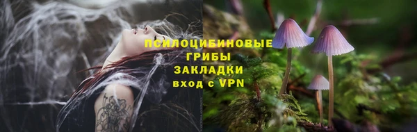молекула духа Алексин