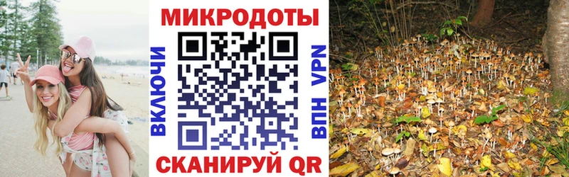 где купить наркотик  Ермолино  Псилоцибиновые грибы Cubensis 